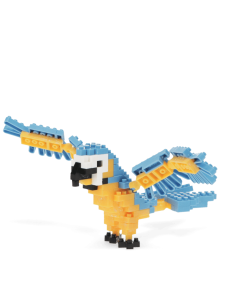 Mini briques Perroquet - Rex