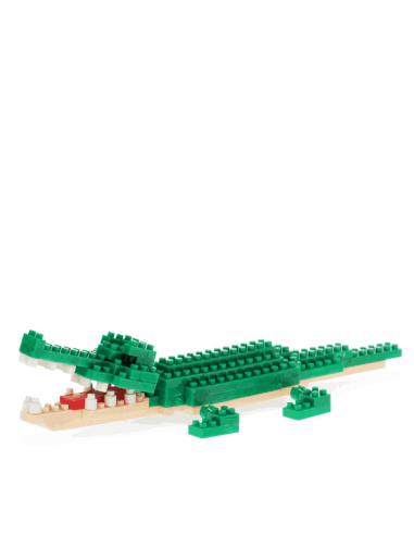 Mini briques Crocodile - Rex