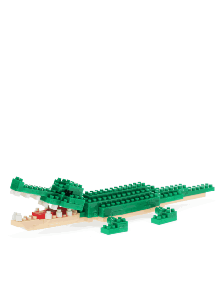 Mini briques Crocodile - Rex