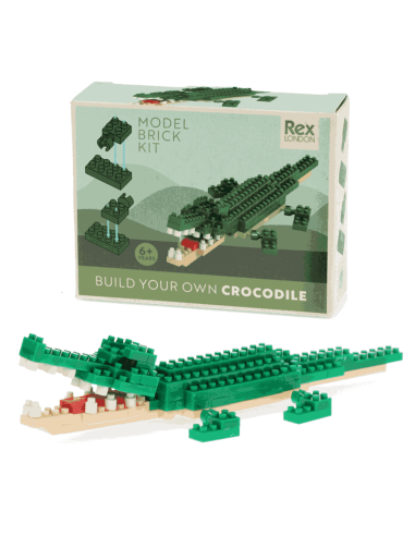 Mini briques Crocodile - Rex