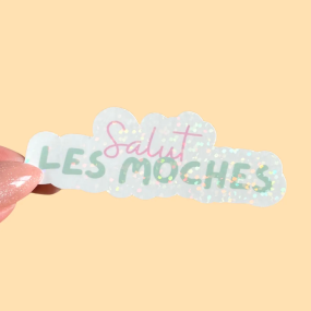 Autocollant "Salut les moches"