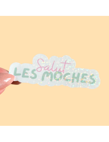 Autocollant "Salut les moches"