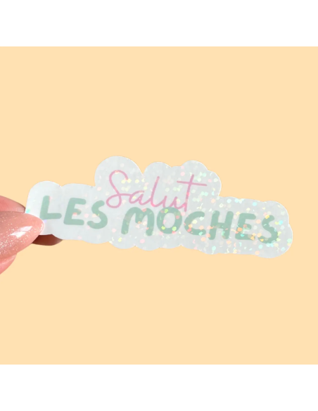 Autocollant "Salut les moches"