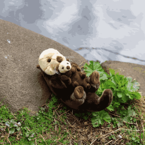 Peluche Loutre - Animigos