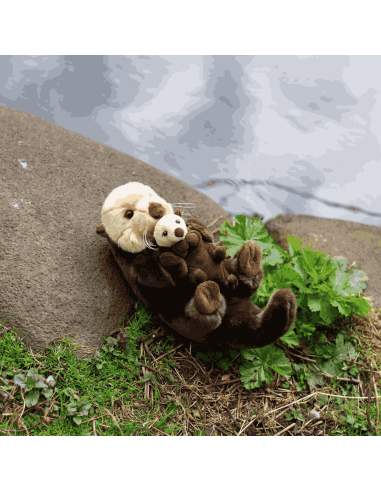 Peluche Loutre - Animigos