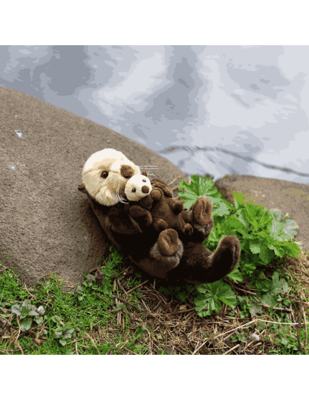 Peluche Loutre - Animigos