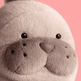 Peluche Otarie Roarwell - Jellycat 2