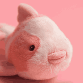 Peluche Carpe Fancy - Jellycat 2