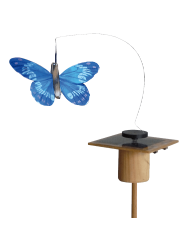 Papillon solaire virevoltant (petite cellule) -...