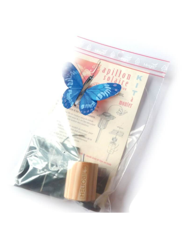 Papillon solaire virevoltant (petite cellule) -...