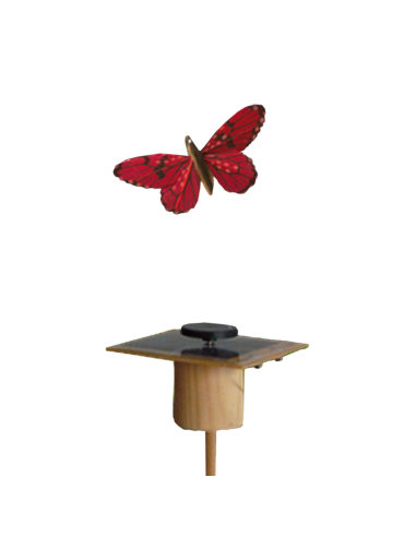 Papillon solaire virevoltant (petite cellule) -...