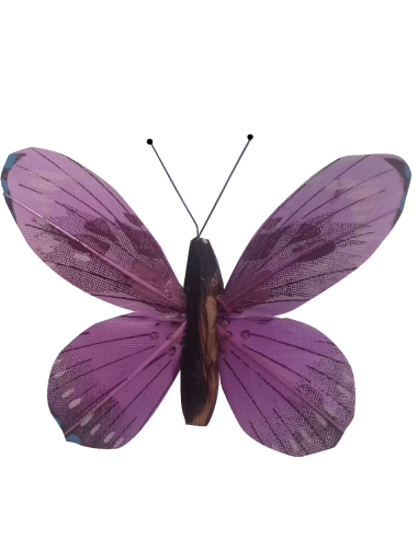 Papillon solaire virevoltant (petite cellule) -...