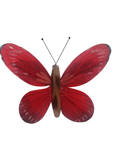 Papillon solaire virevoltant (petite cellule) -...