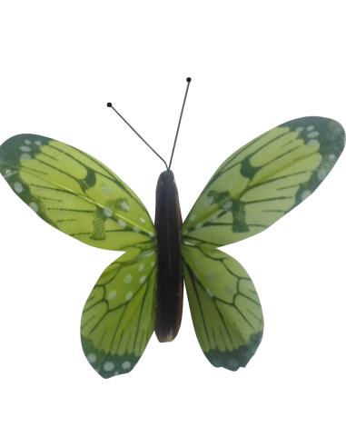 Papillon solaire virevoltant (petite cellule) -...