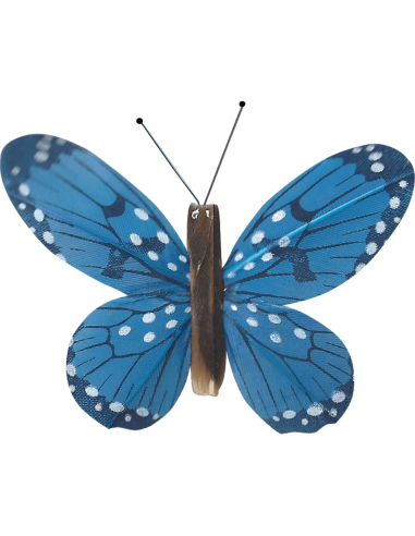 Papillon solaire virevoltant (petite cellule) -...