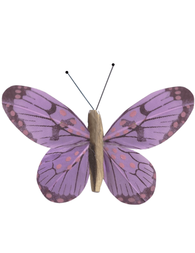 Papillon solaire virevoltant (petite cellule) -...