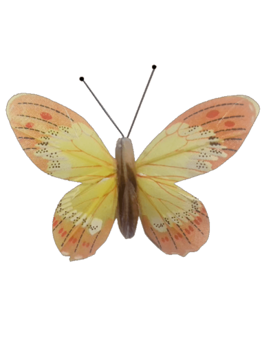 Papillon solaire virevoltant (grande cellule) -...