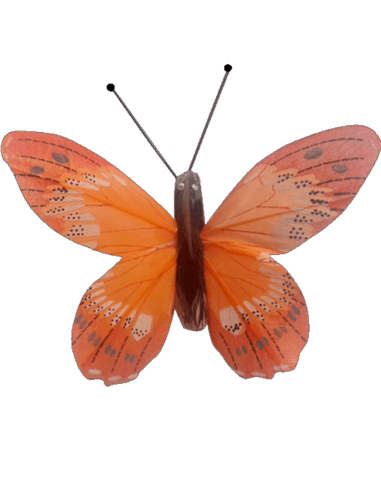 Papillon solaire virevoltant (grande cellule) -...