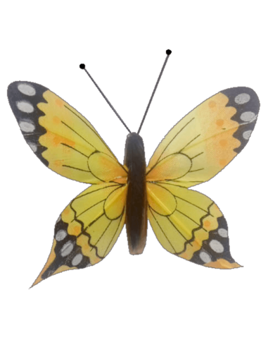Papillon solaire virevoltant (grande cellule) -...