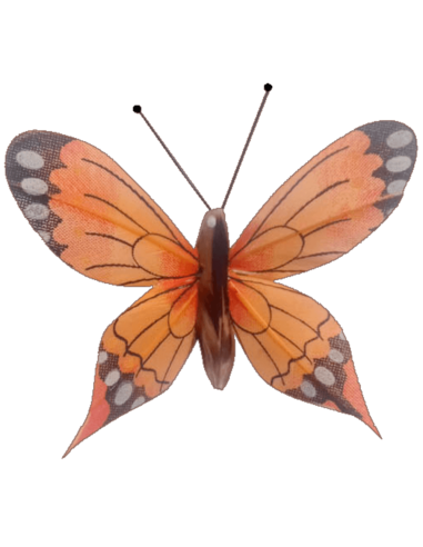 Papillon solaire virevoltant (grande cellule) -...