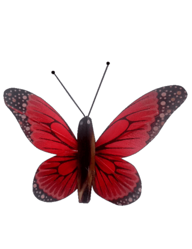 Papillon solaire virevoltant (grande cellule) -...