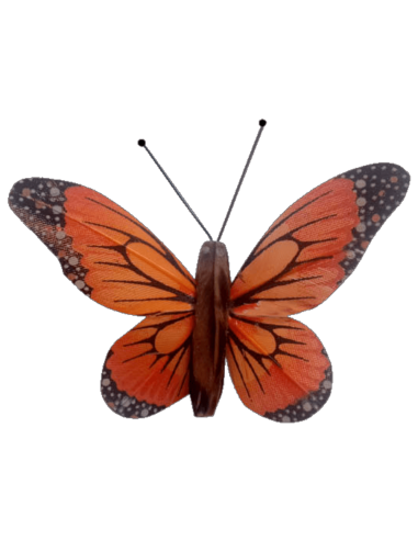 Papillon solaire virevoltant (grande cellule) -...