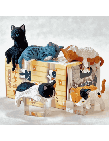 Boite surprise chat