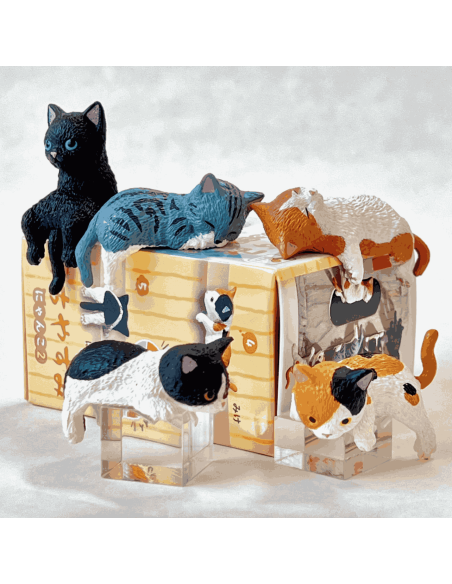 Boite surprise chat