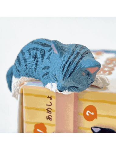 Boite surprise chat