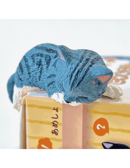 Boite surprise chat
