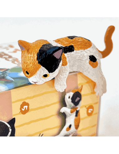 Boite surprise chat