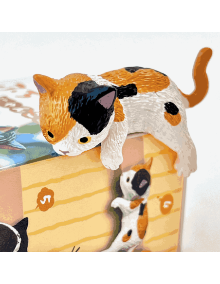 Boite surprise chat