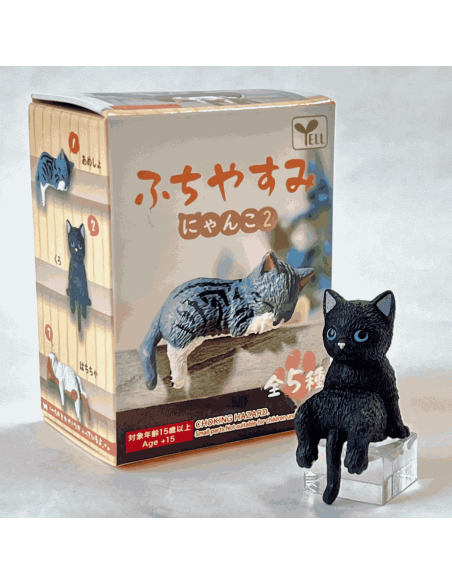 Boite surprise chat