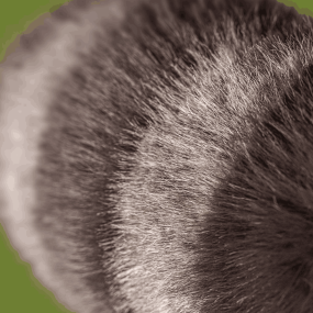 Peluche raton laveur Trixiwoo Raccoon - Jellycat 2