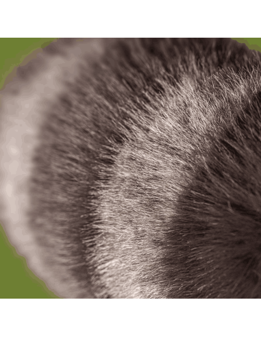 Peluche raton laveur Trixiwoo Raccoon - Jellycat