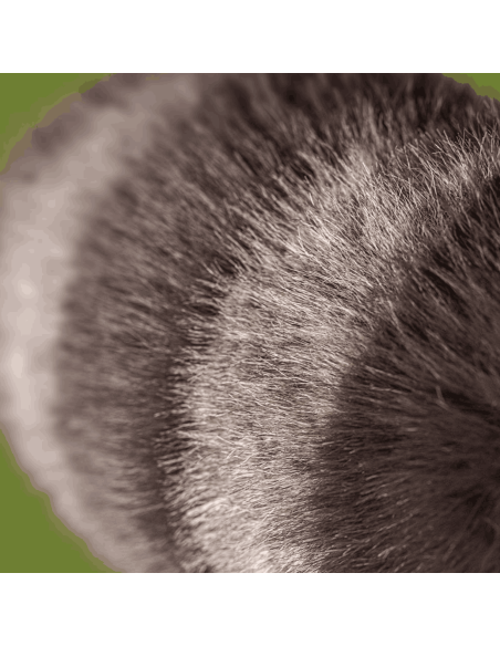 Peluche raton laveur Trixiwoo Raccoon - Jellycat