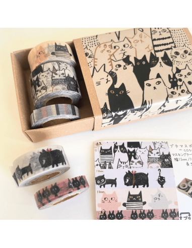 Boite de 5 masking tape chats - Shinzi Katoh