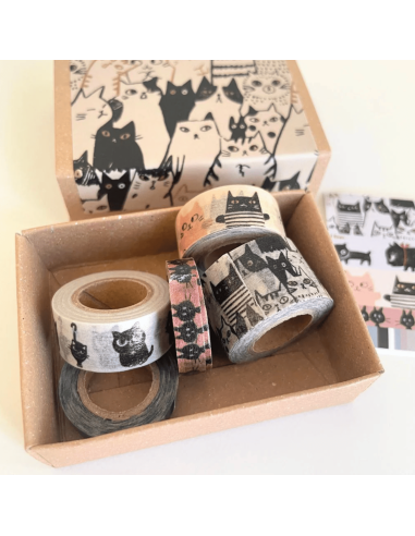 Boite de 5 masking tape chats - Shinzi Katoh