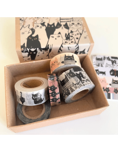 Boite de 5 masking tape chats - Shinzi Katoh