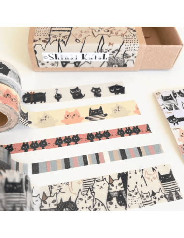 Boite de 5 masking tape chats - Shinzi Katoh