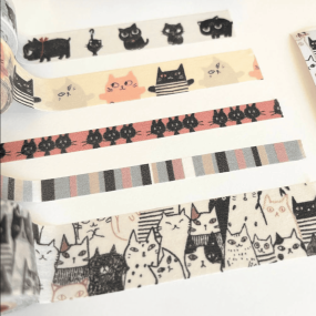 Boite de 5 masking tape chats - Shinzi Katoh 2