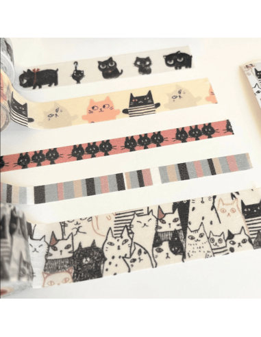 Boite de 5 masking tape chats - Shinzi Katoh