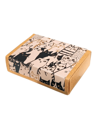 Boite de 5 masking tape chats - Shinzi Katoh