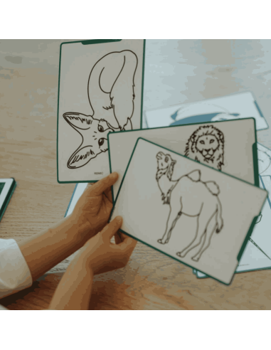 Recharge Kidydraw "Animaux du monde" et "Océans...