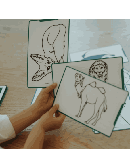 Recharge Kidydraw "Animaux du monde" et "Océans et pirates" - Kidywolf
