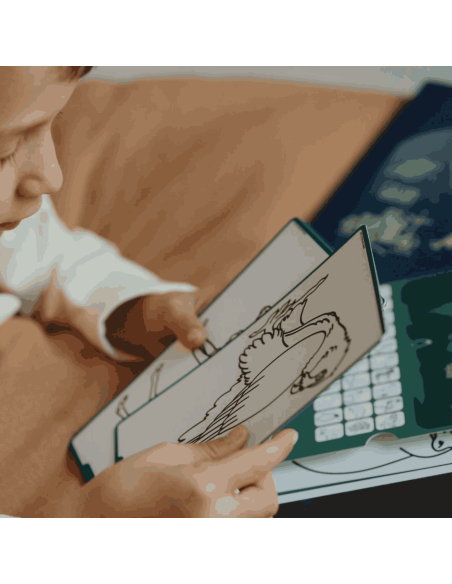 Recharge Kidydraw "Animaux du monde" et "Océans et pirates" - Kidywolf