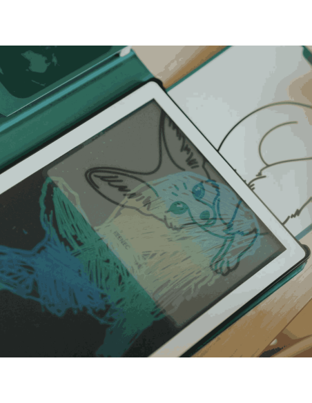 Recharge Kidydraw "Animaux du monde" et "Océans et pirates" - Kidywolf