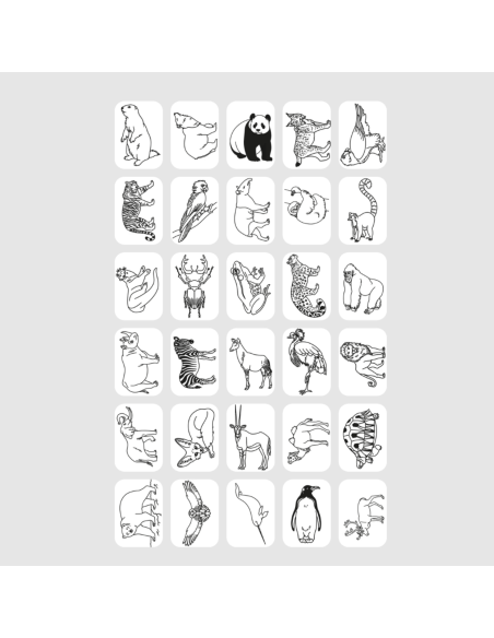 Recharge Kidydraw "Animaux du monde" et "Océans et pirates" - Kidywolf