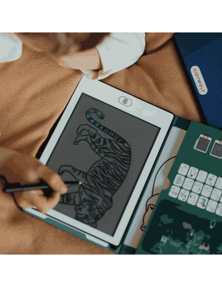 Recharge Kidydraw "Animaux du monde" et "Océans et pirates" - Kidywolf
