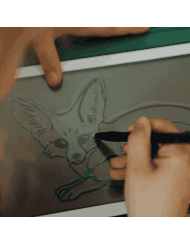Recharge Kidydraw "Animaux du monde" et "Océans...